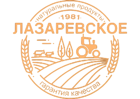 Логотип компании